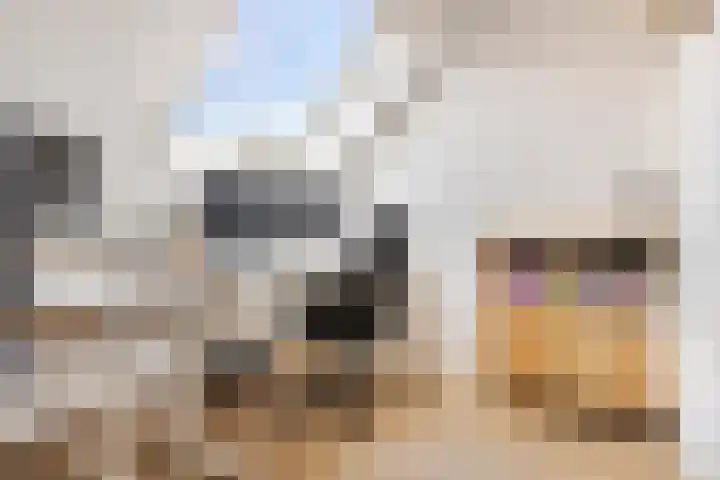 Kuzumerweg 6 Sebaldeburen thumbnail 26