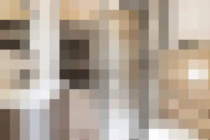 Kuzumerweg 6 Sebaldeburen thumbnail 28