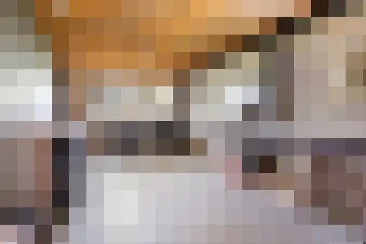 Kuzumerweg 6 Sebaldeburen thumbnail 30