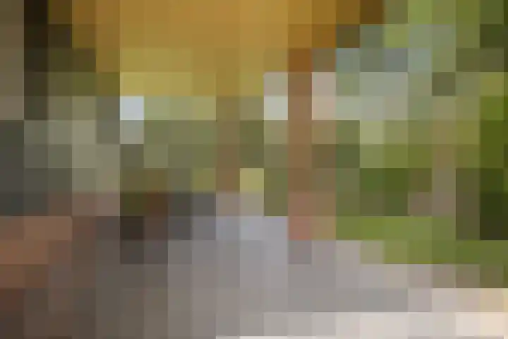 Kuzumerweg 6 Sebaldeburen thumbnail 31