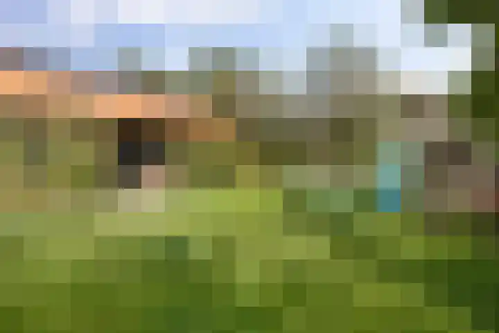 Kuzumerweg 6 Sebaldeburen thumbnail 34