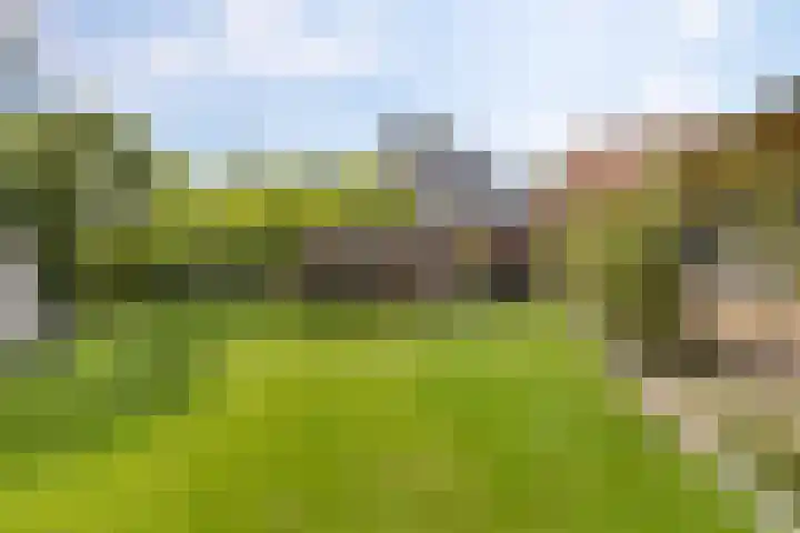 Kuzumerweg 6 Sebaldeburen thumbnail 35