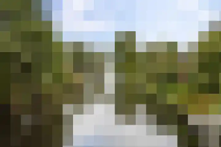 Kuzumerweg 6 Sebaldeburen thumbnail 36