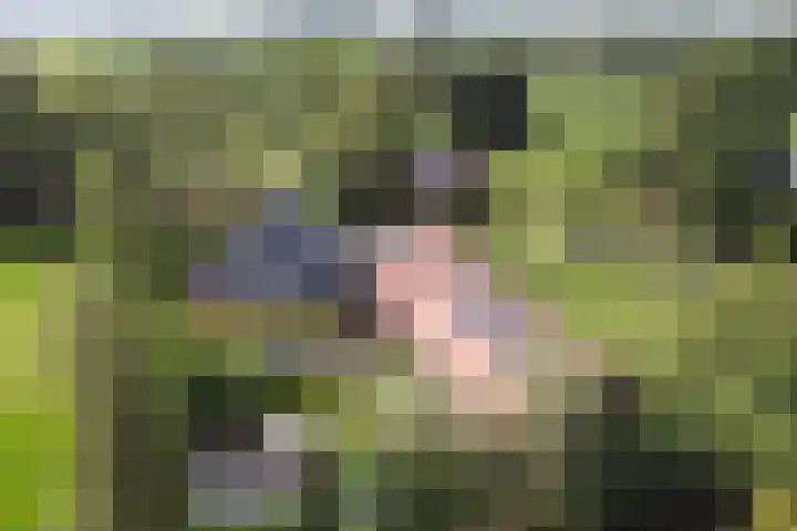 Kuzumerweg 6 Sebaldeburen thumbnail 37