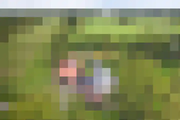 Kuzumerweg 6 Sebaldeburen thumbnail 38