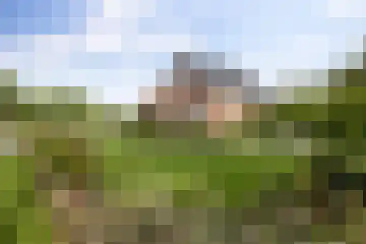 Kuzumerweg 6 Sebaldeburen thumbnail 39