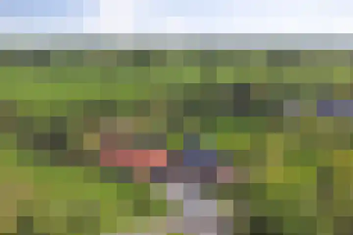Kuzumerweg 6 Sebaldeburen thumbnail 48