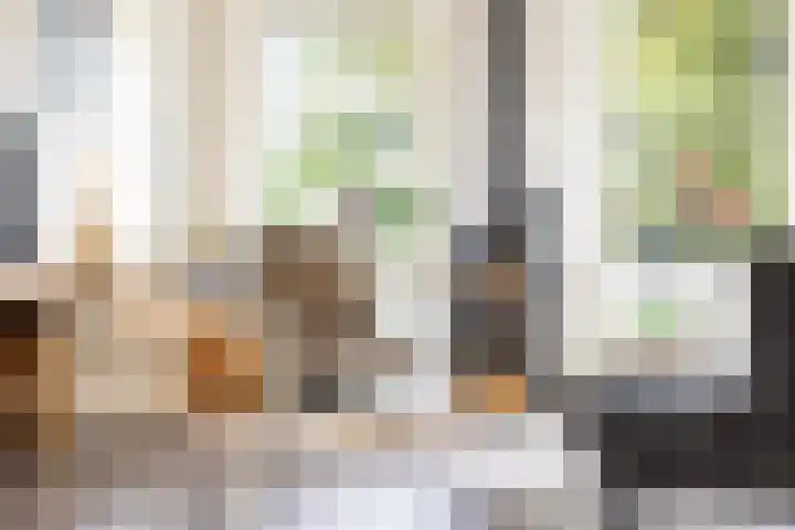 Kuzumerweg 6 Sebaldeburen thumbnail 5