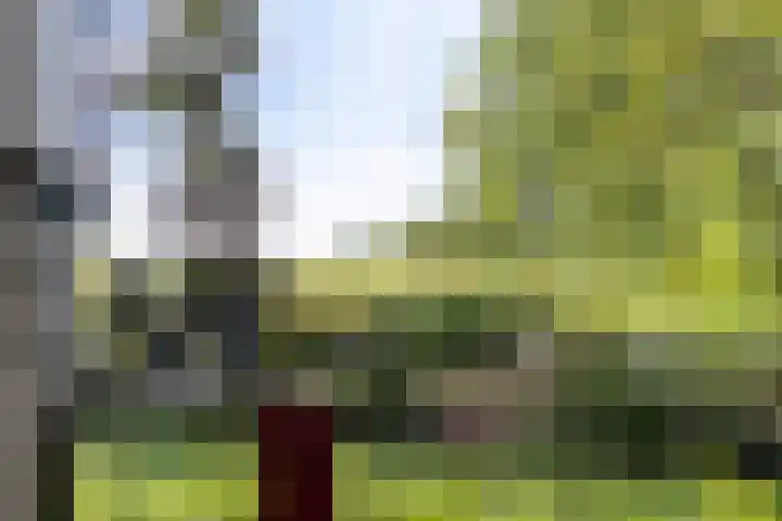 Kuzumerweg 6 Sebaldeburen thumbnail 9