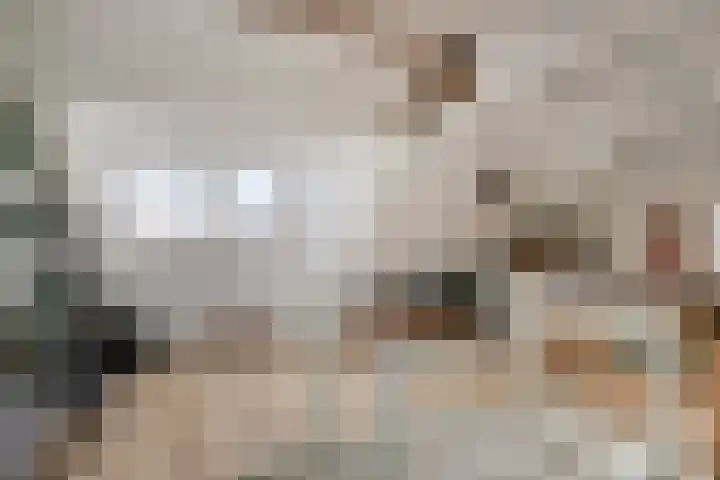 Kwaadeindstraat 100 Tilburg thumbnail 34