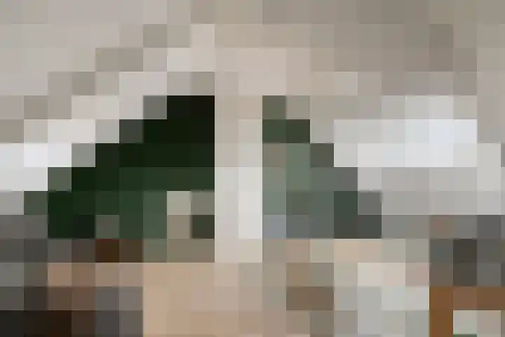 Kwaadeindstraat 100 Tilburg thumbnail 35