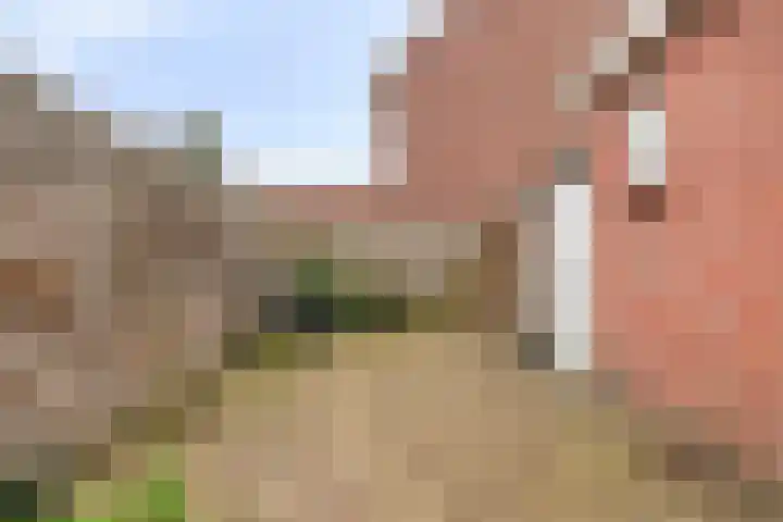 Kwaadeindstraat 100 Tilburg thumbnail 36