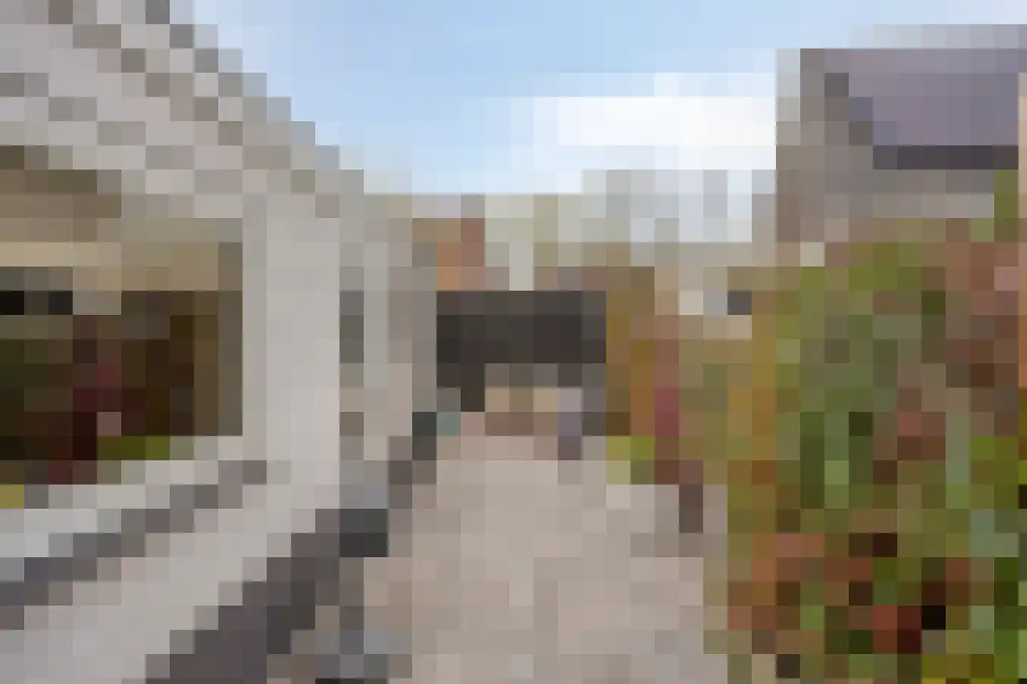 Kwaadeindstraat 111 Tilburg thumbnail 37