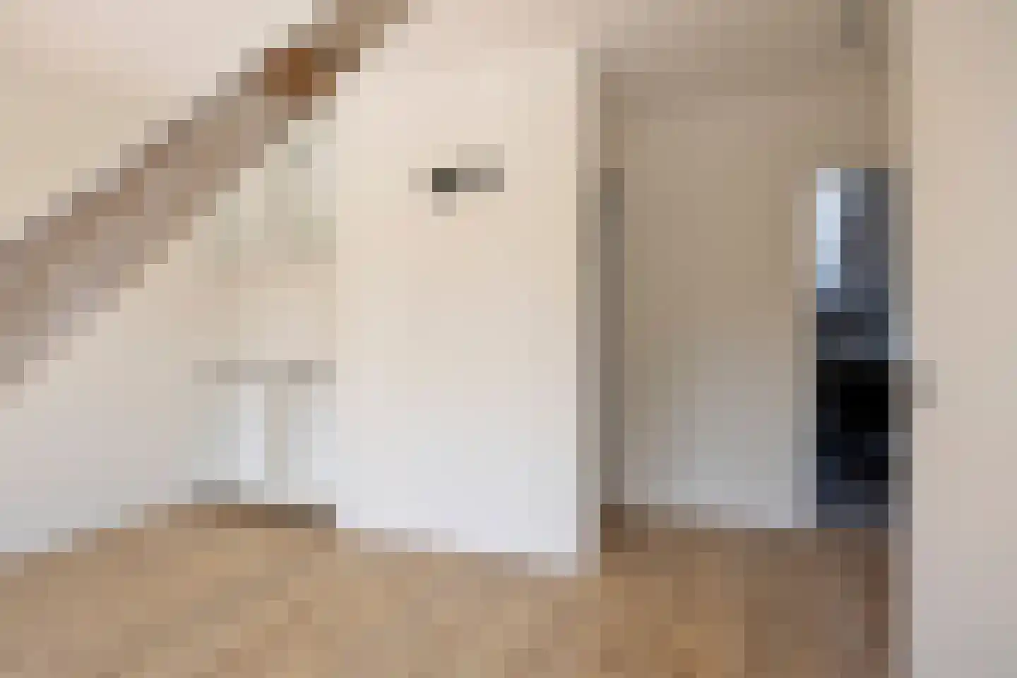 Kwaadeindstraat 12 Tilburg thumbnail 5