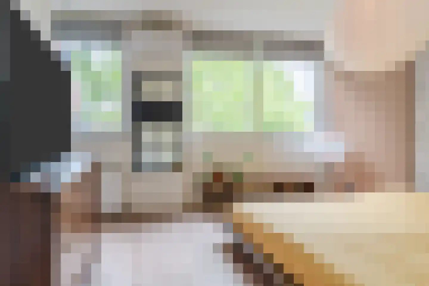 Kwaadeindstraat 127 Tilburg thumbnail 15