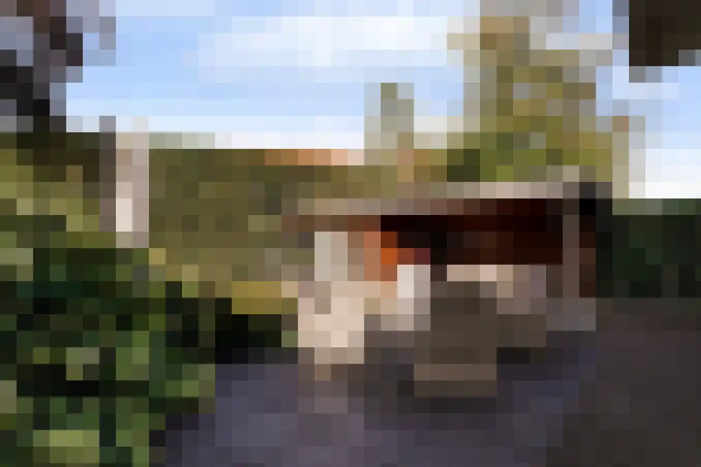 Kwaadeindstraat 57 Tilburg thumbnail 66
