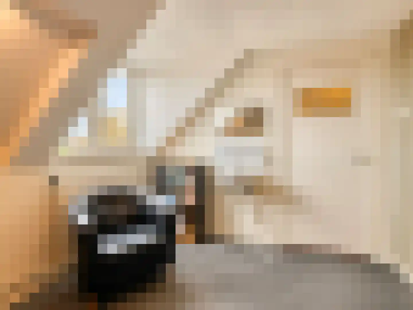 Kwaadeindstraat 69 Tilburg thumbnail 42