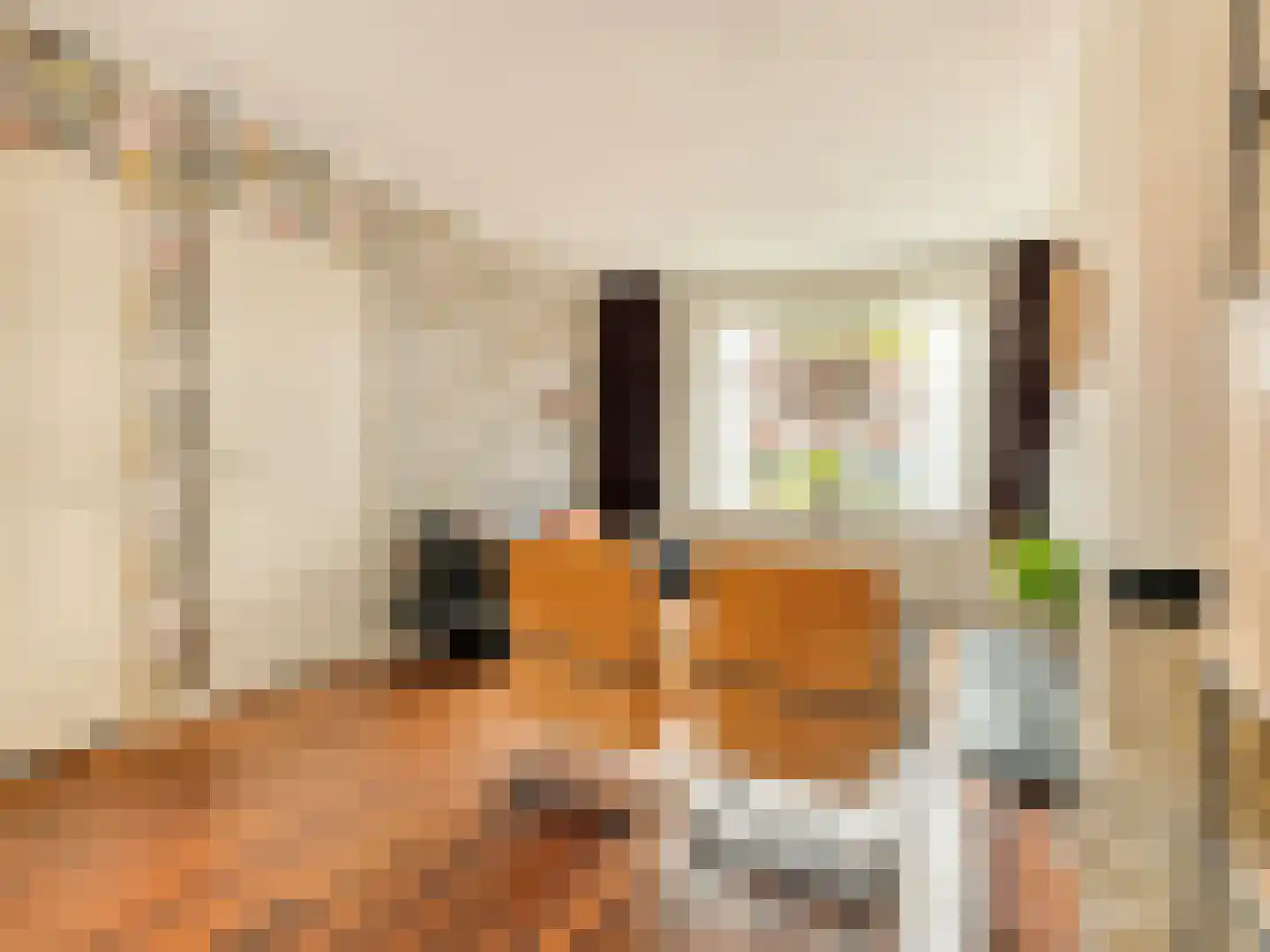 Kwaadeindstraat 69 Tilburg thumbnail 9