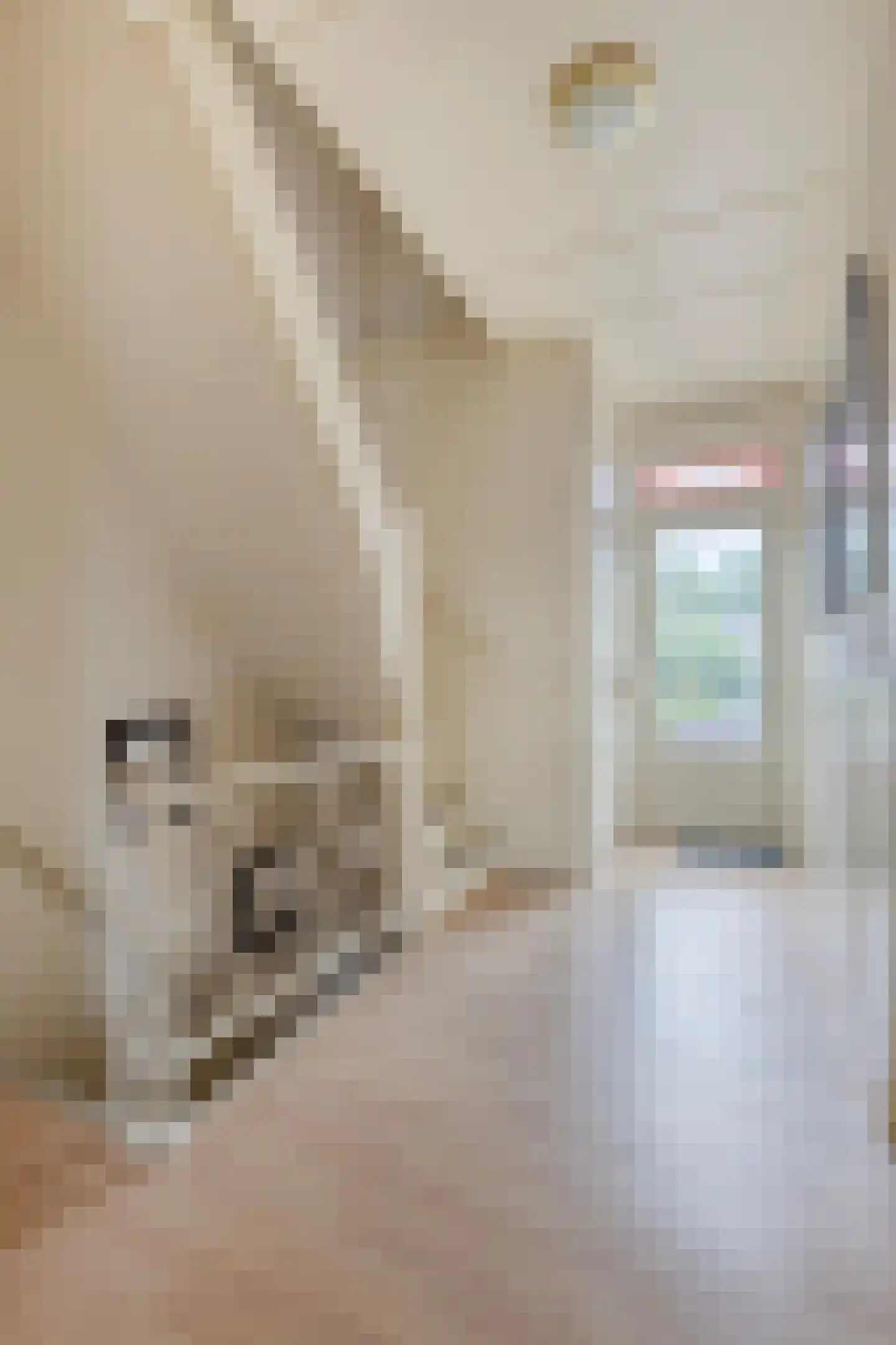 Kwaadeindstraat 86 Tilburg thumbnail 20