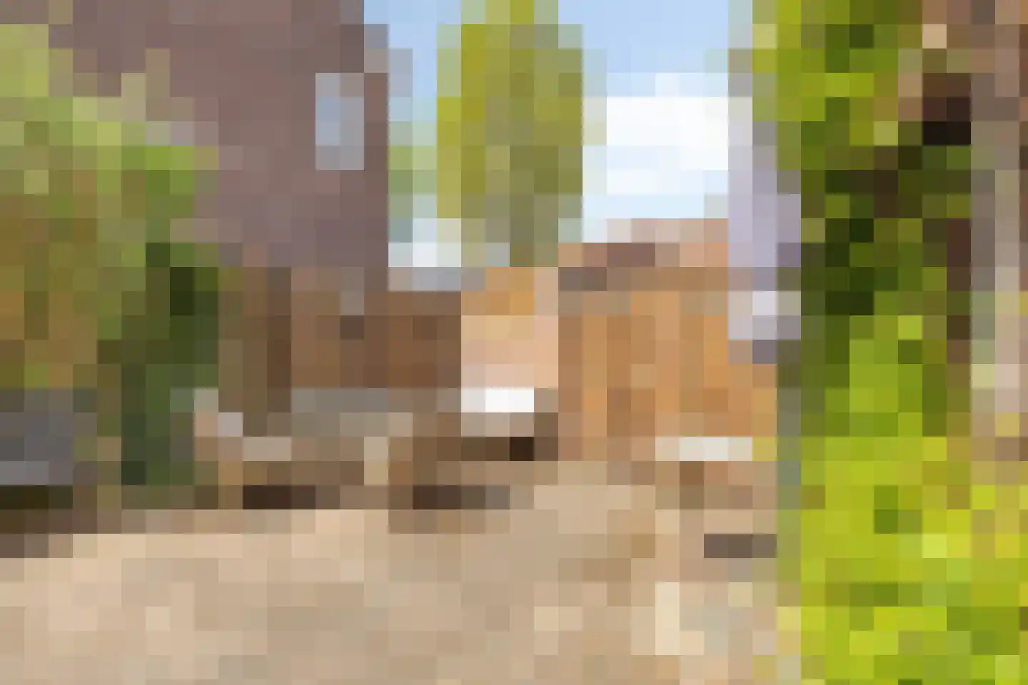 Kwaadeindstraat 86 Tilburg thumbnail 31