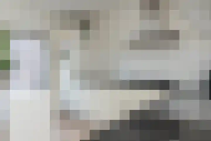 Kwaadeindstraat 91 Tilburg thumbnail 15