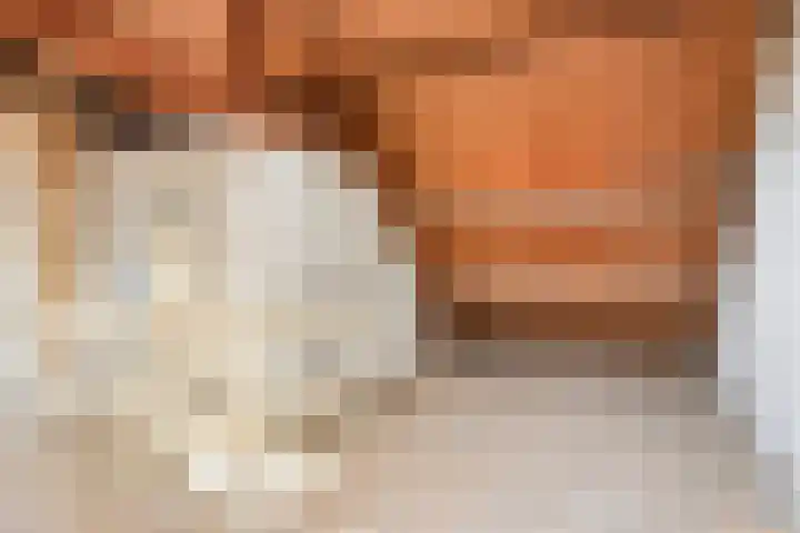 Kwaadeindstraat 98 Tilburg thumbnail 35