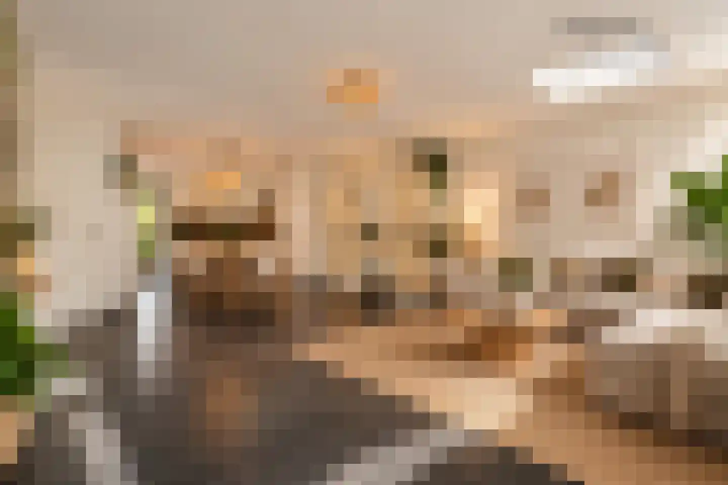 Kwaakhaven 11 Oegstgeest thumbnail 10