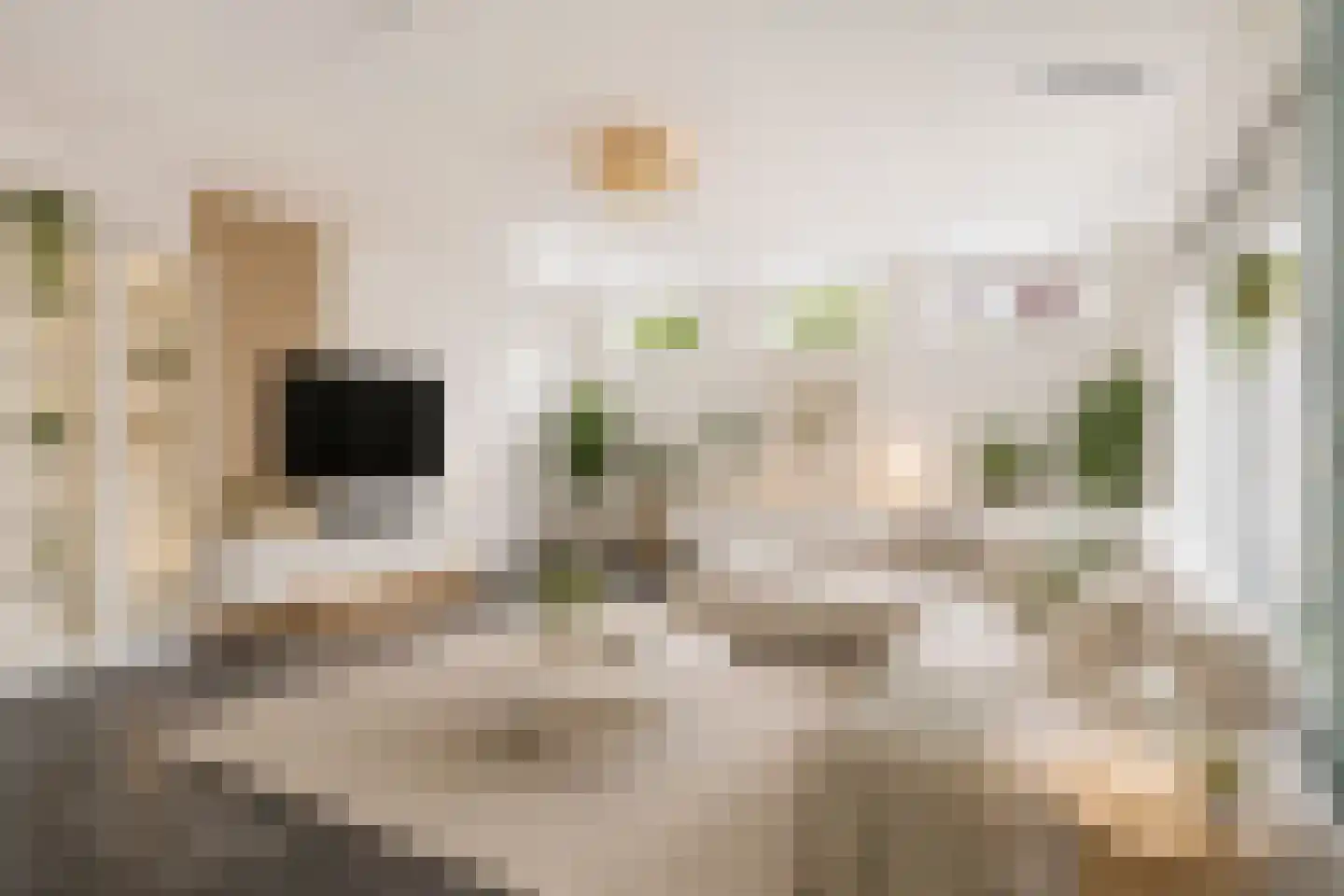 Kwaakhaven 11 Oegstgeest thumbnail 15