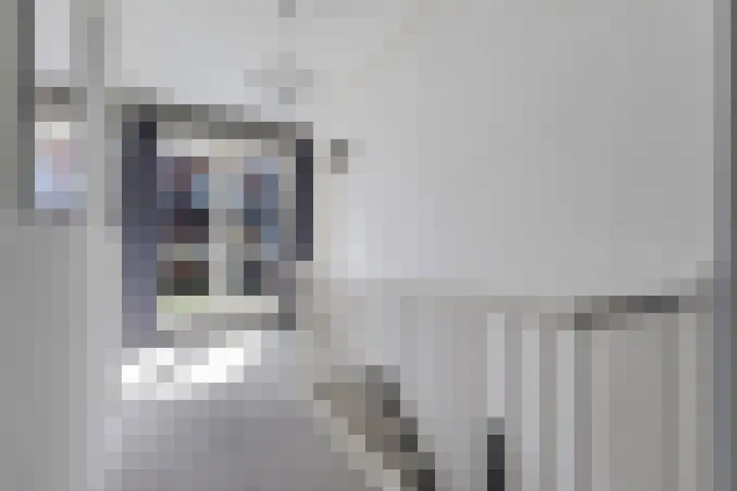 Kwaakhaven 11 Oegstgeest thumbnail 22