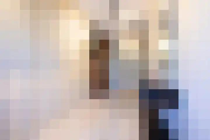 Kwaakhaven 16 Oegstgeest thumbnail 10