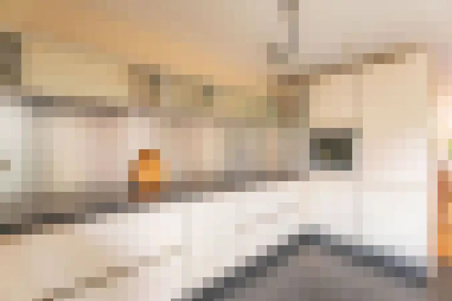 Kwaakhaven 5 Oegstgeest thumbnail 10