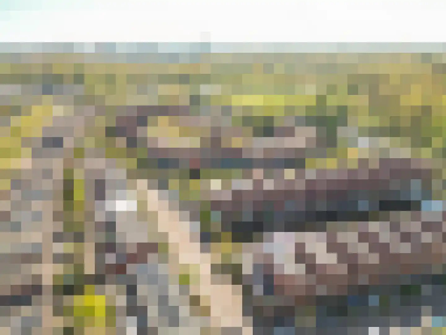 Kwaakhaven 5 Oegstgeest thumbnail 35