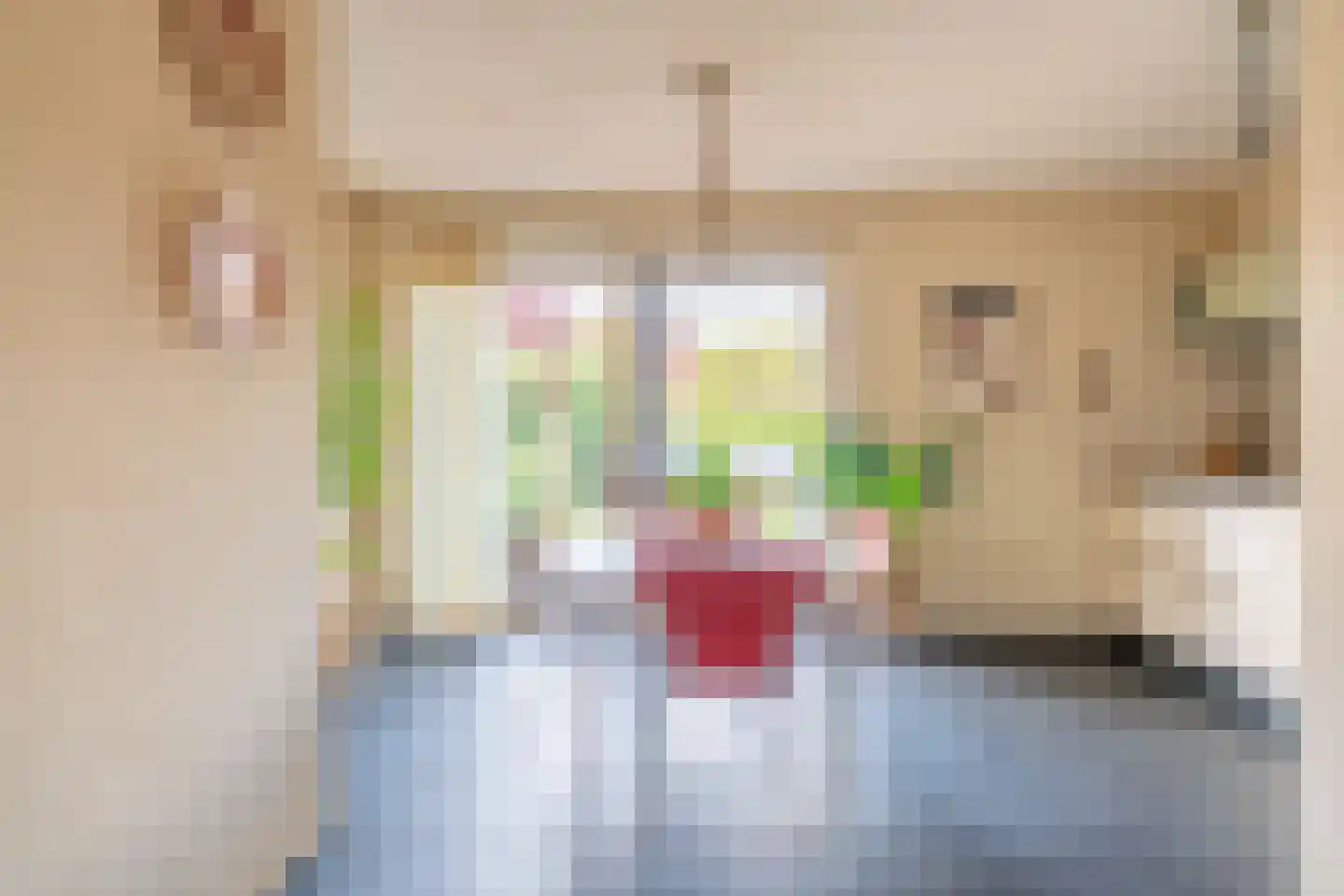 Kwaakhaven 5 Oegstgeest thumbnail 8