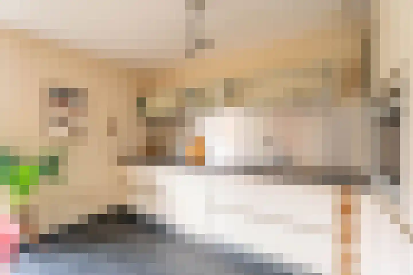 Kwaakhaven 5 Oegstgeest thumbnail 9
