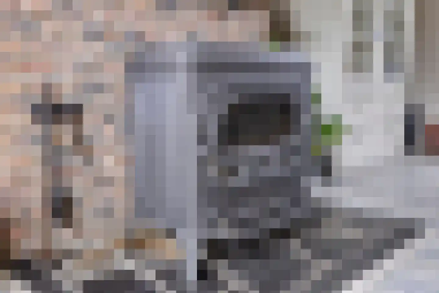 Kwaalburg 2 Alphen thumbnail 11