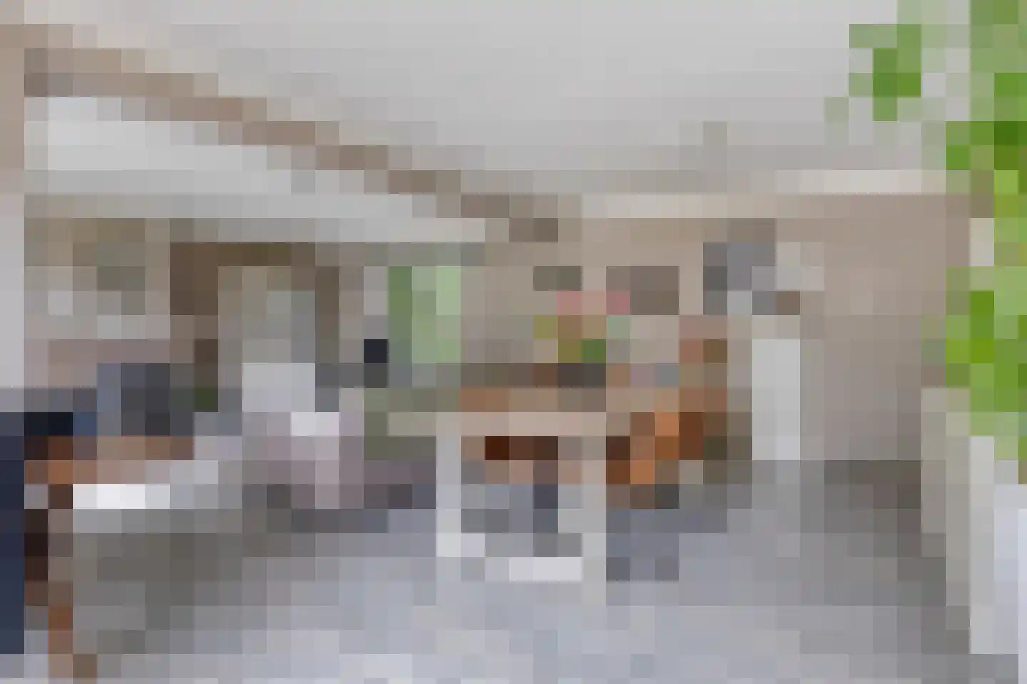 Kwaalburg 2 Alphen thumbnail 13