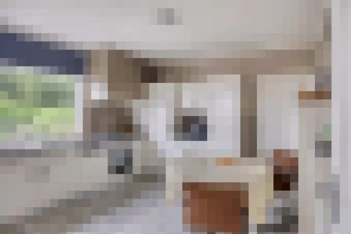 Kwaalburg 2 Alphen thumbnail 15