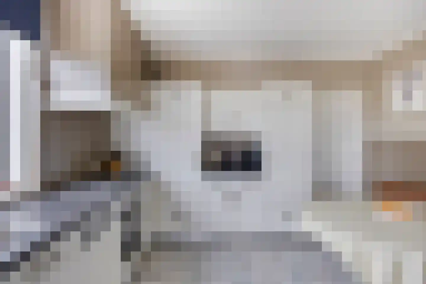 Kwaalburg 2 Alphen thumbnail 16