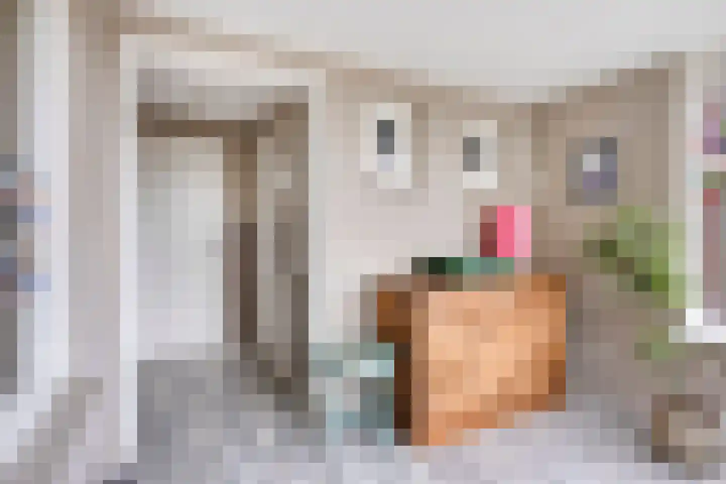 Kwaalburg 2 Alphen thumbnail 21