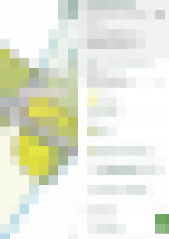 Kwadijk 10 Kwadijk thumbnail 101