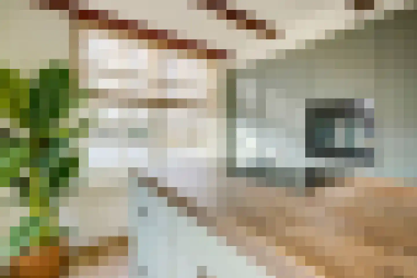 Kwadijk 10 Kwadijk thumbnail 21