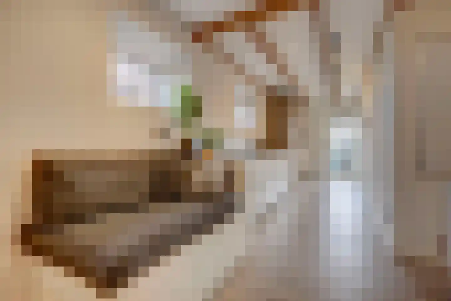 Kwadijk 10 Kwadijk thumbnail 30
