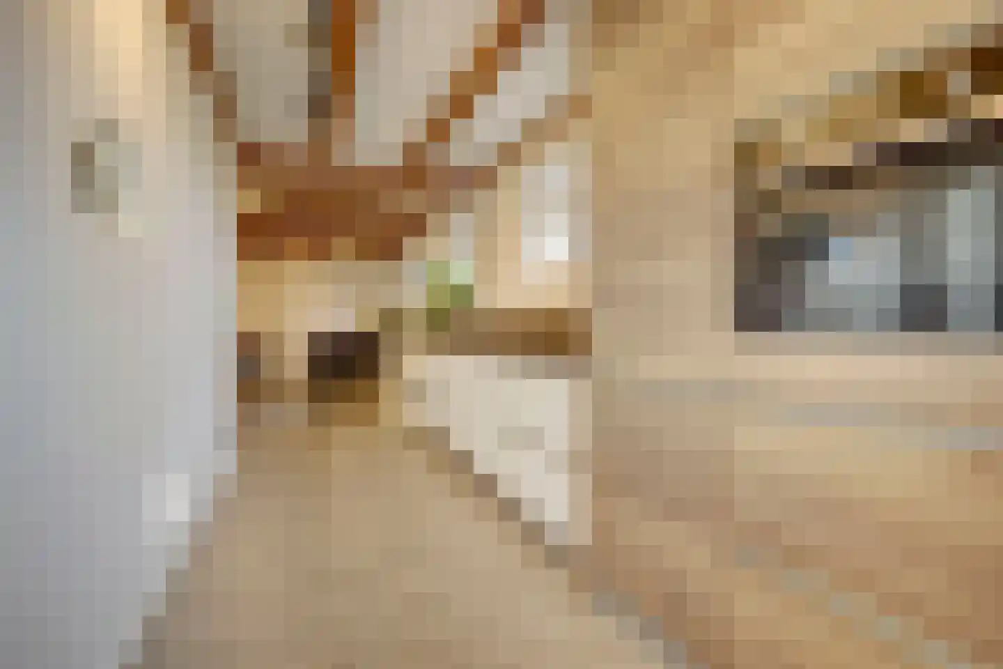 Kwadijk 10 Kwadijk thumbnail 32