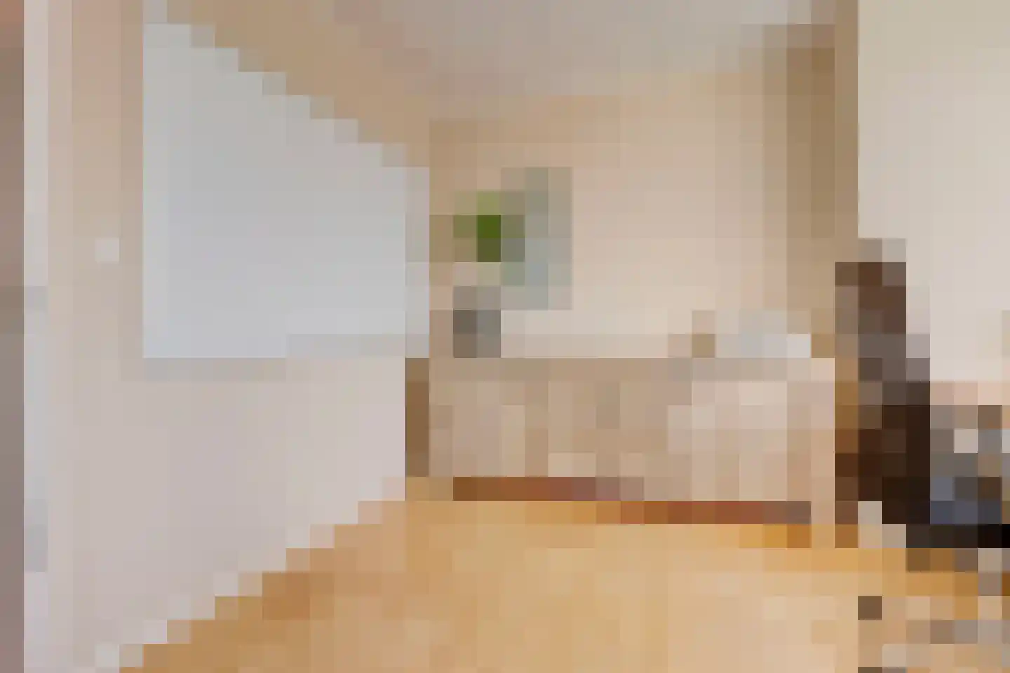 Kwadijk 10 Kwadijk thumbnail 35
