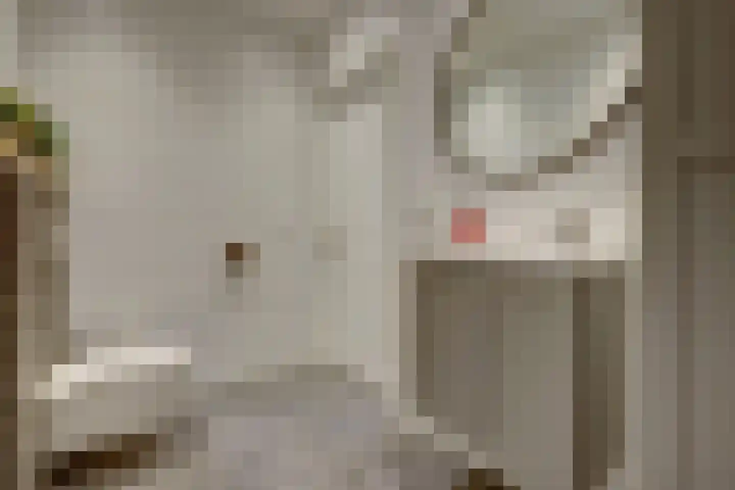 Kwadijk 10 Kwadijk thumbnail 61