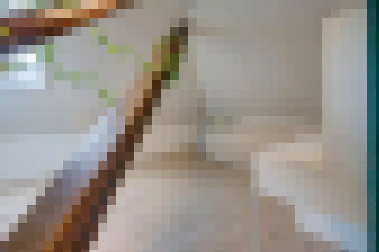 Kwadijk 10 Kwadijk thumbnail 65