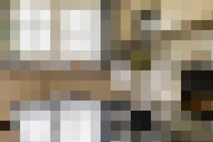 Kwadijk 119 Kwadijk thumbnail 16