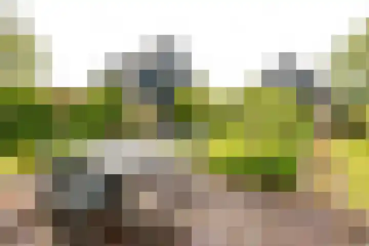 Kwadijk 119 Kwadijk thumbnail 4