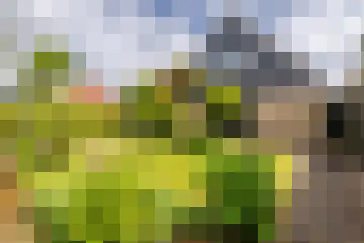 Kwadijk 119 Kwadijk thumbnail 45