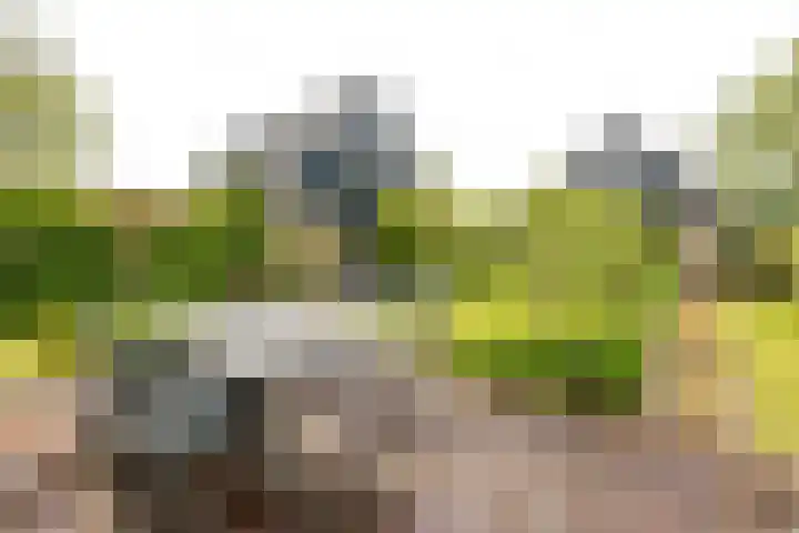Kwadijk 119 Kwadijk thumbnail 46